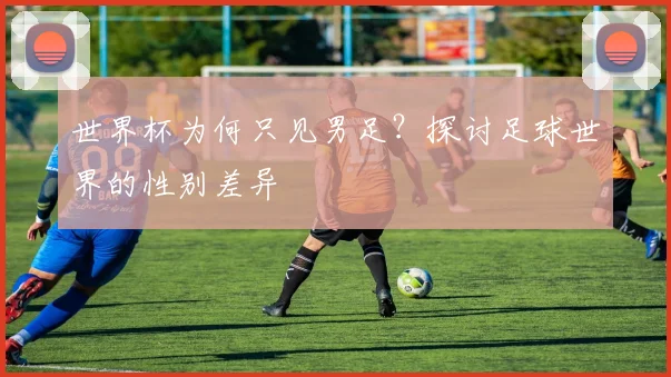 世界杯为何只见男足？探讨足球世界的性别差异