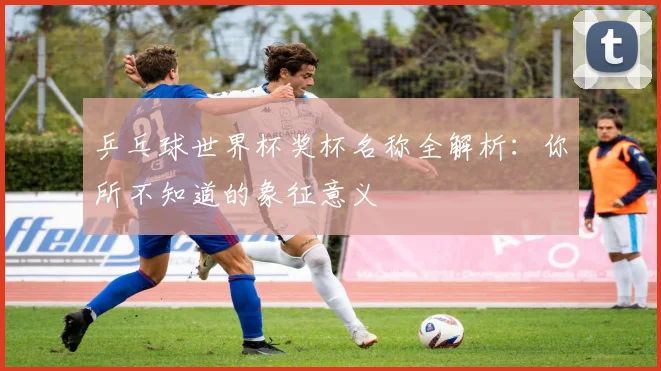 乒乓球世界杯奖杯名称全解析：你所不知道的象征意义