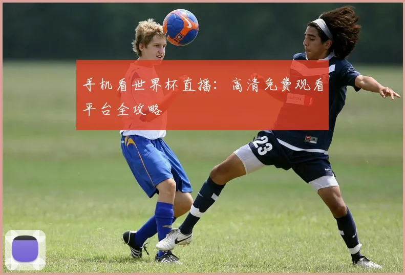 手机看世界杯直播：高清免费观看平台全攻略